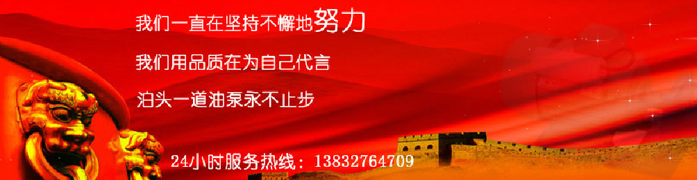 泊头市一道油泵厂导热油泵首页